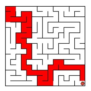 A maze.